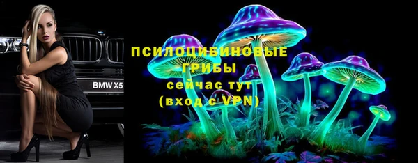 гидропоника Алексеевка