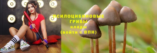 кокс Алзамай