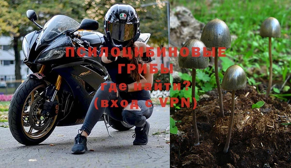 гидропоника Алексеевка