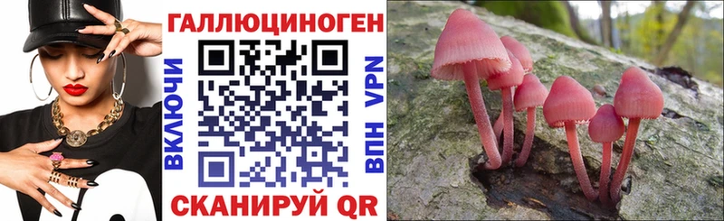 Псилоцибиновые грибы GOLDEN TEACHER  где найти наркотики  Новосиль 
